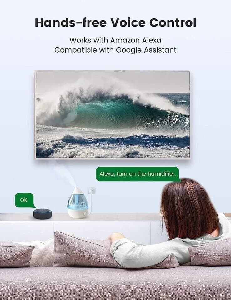 2 Pack Smart Plug 13A Wi-Fi Outlet Compatible with Alexa Echo Google Home Fokoos