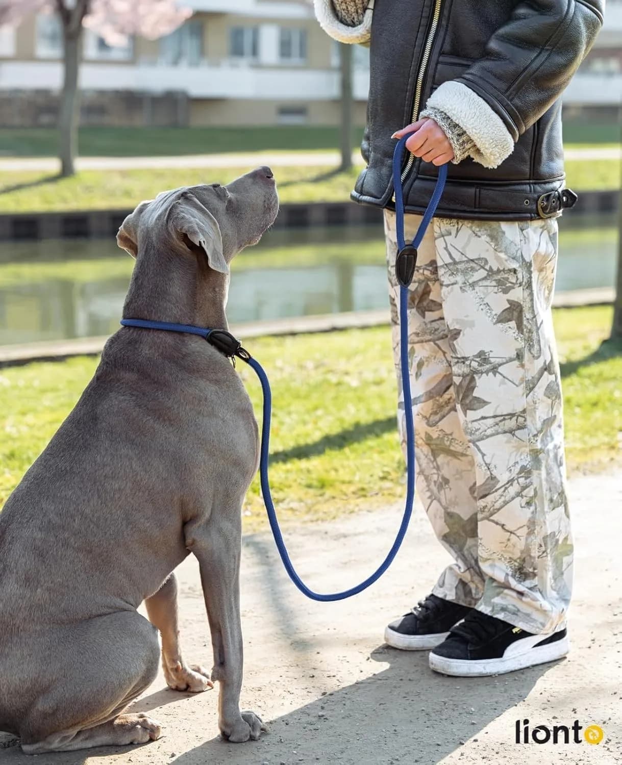 lionto Retriever leash robust and weatherproof for dogs 170cm