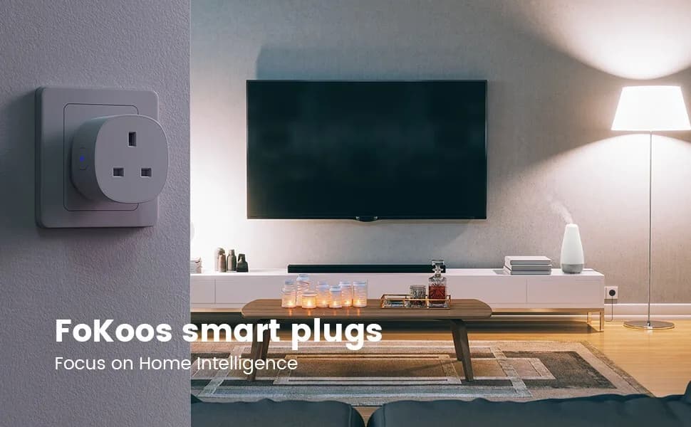 2 Pack Smart Plug 13A Wi-Fi Outlet Compatible with Alexa Echo Google Home Fokoos