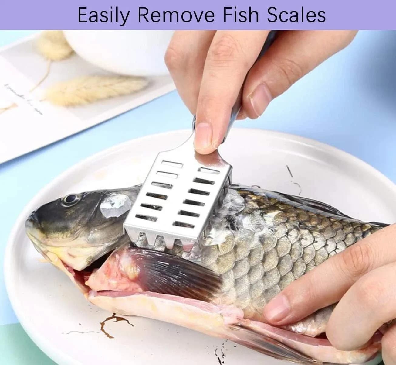 1 Piece Fish Scale Remover Brush & 1 Piece Shrimp Cutlery Kitchen