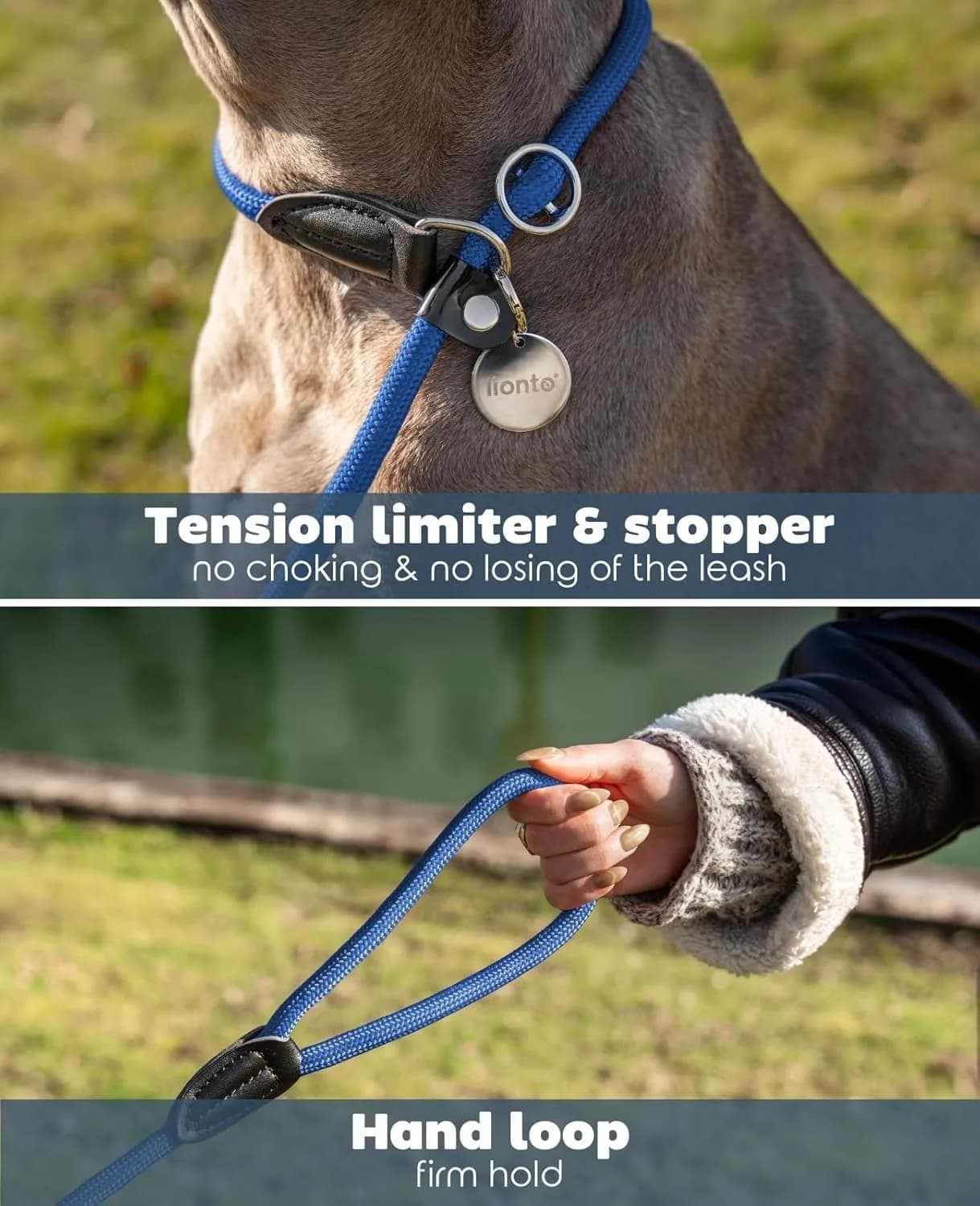lionto Retriever leash robust and weatherproof for dogs 170cm